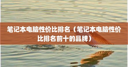 笔记本电脑性价比排名（笔记本电脑性价比排名前十的品牌）