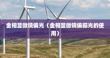 金相显微镜光源如何调（金相显微镜里加入的偏光装置有）