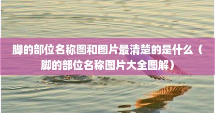 脚的部位名称图和图片最清楚的是什么（脚的部位名称图片大全图解）