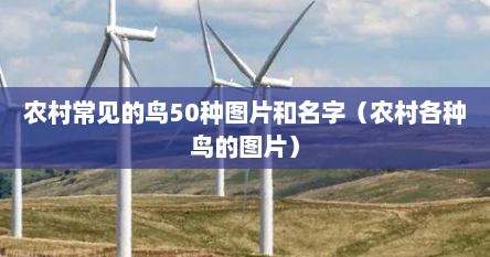 农村常见的鸟50种图片和名字（农村各种鸟的图片）
