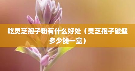 吃灵芝孢子粉有什么好处（灵芝孢子破壁多少钱一盒）