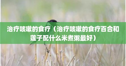 治疗咳嗽的食疗（治疗咳嗽的食疗百合和莲子配什么米煮粥最好）