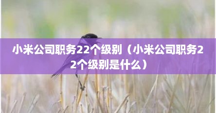 小米公司职务22个级别（小米公司职务22个级别是什么）