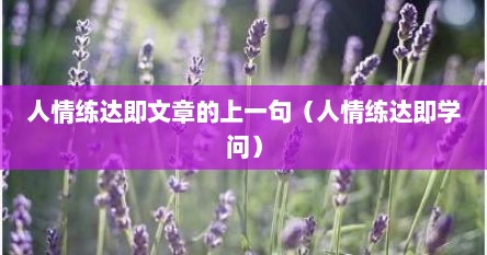 人情练达即文章的上一句（人情练达即学问）