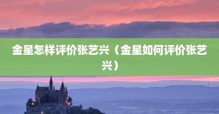 金星怎样评价张艺兴（金星如何评价张艺兴）