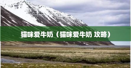 猫咪爱牛奶（猫咪爱牛奶 攻略）