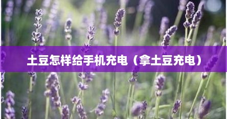 土豆怎样给手机充电（拿土豆充电）