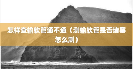 怎样查输软管有没有堵（怎样看输软管通不通）