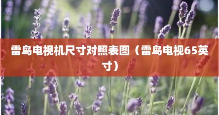 雷鸟电视机尺寸对照表图（雷鸟电视65英寸）
