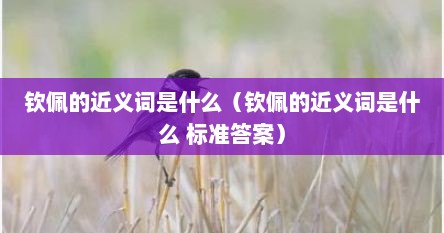 钦佩的近义词是什么（钦佩的近义词是什么 标准答案）