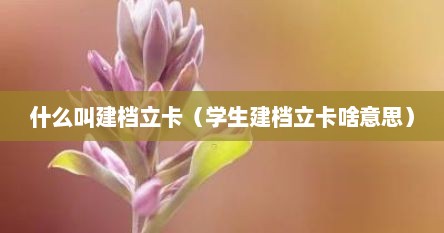 什么叫建档立卡（学生建档立卡啥意思）