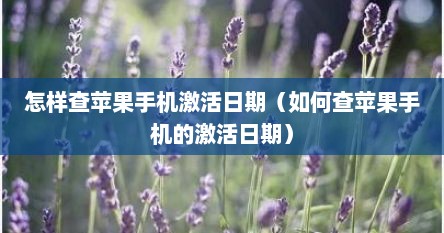 怎样查苹果手机激活日期（如何查苹果手机的激活日期）