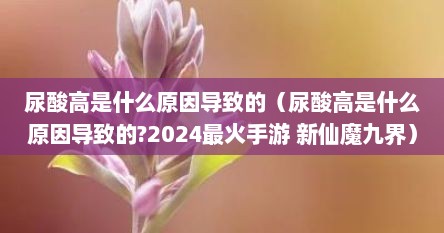 尿酸高是什么原因导致的（尿酸高是什么原因导致的?2024最火手游 新仙魔九界）