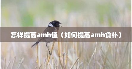 怎样提高amh值（如何提高amh食补）