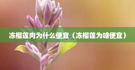 冻榴莲肉为什么便宜（冻榴莲为啥便宜）