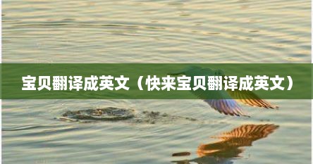 宝贝翻译成英文（快来宝贝翻译成英文）