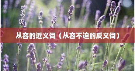 从容的近义词（从容不迫的反义词）