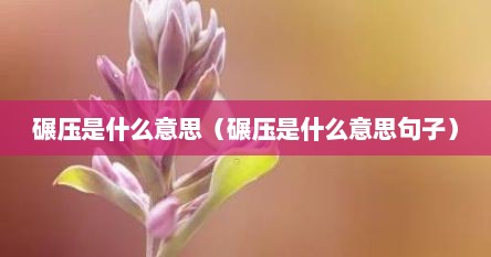 碾压是什么意思（碾压是什么意思句子）