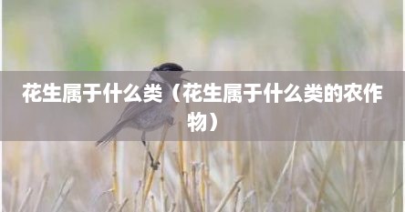 花生属于什么类（花生属于什么类的农作物）