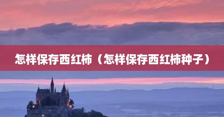 怎样保存西红柿（怎样保存西红柿种子）