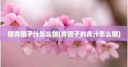 做青团子汁怎么做(青团子的青汁怎么做)