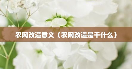 农网改造意义（农网改造是干什么）