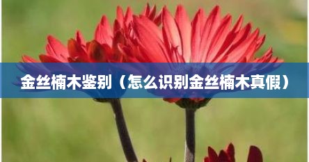金丝楠木怎么鉴别真假视频（金丝楠木怎么辨别真假）
