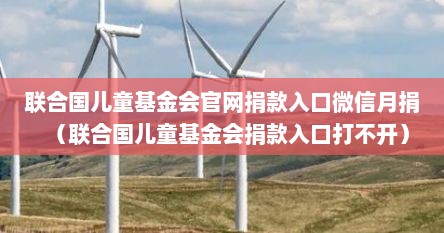 联合国儿童基金会官网捐款入口微信月捐（联合国儿童基金会捐款入口打不开）