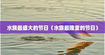 水族最盛大的节日（水族最隆重的节日）