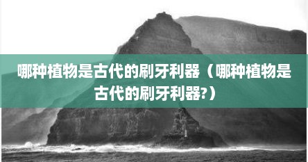哪种植物是古代的刷牙利器（哪种植物是古代的刷牙利器?）