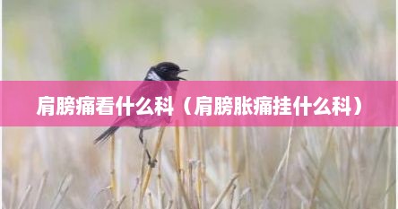 肩膀痛看什么科（肩膀胀痛挂什么科）