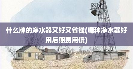 什么牌的净水器又好又省钱(哪种净水器好用后期费用低)