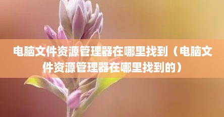 电脑文件资源管理器在哪里找到（电脑文件资源管理器在哪里找到的）