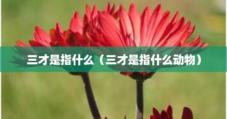 三才是指什么（三才是指什么动物）