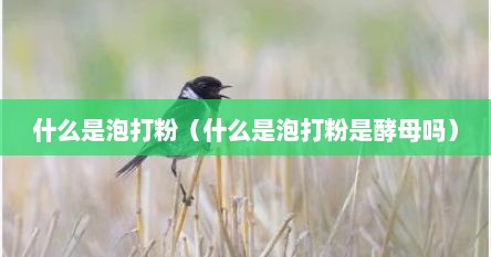 什么是泡打粉（什么是泡打粉是酵母吗）