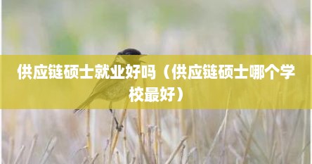 供应链硕士就业好吗（供应链硕士哪个学校最好）