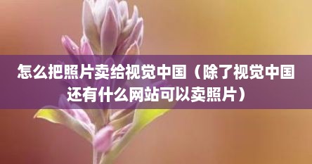 怎么把照片卖给视觉中国（除了视觉中国还有什么网站可以卖照片）