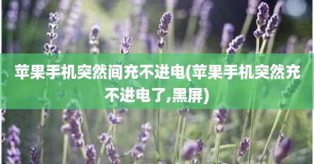 苹果手机突然间充不进电(苹果手机突然充不进电了,黑屏)