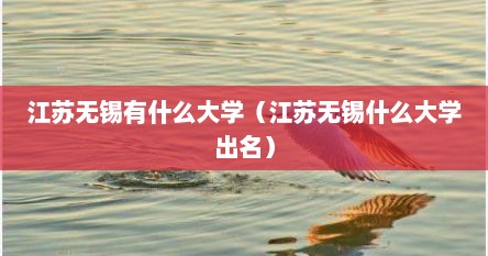 江苏无锡有什么大学（江苏无锡什么大学出名）