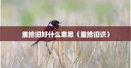 重拾旧好什么意思（重拾旧识）