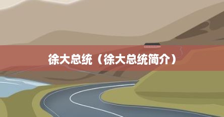 徐大总统（徐大总统简介）