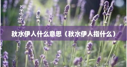 秋水伊人什么意思（秋水伊人指什么）