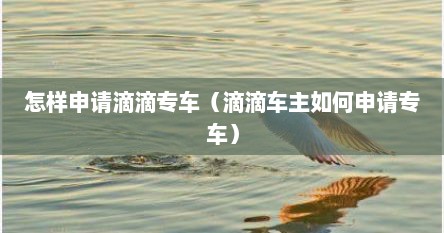 怎样申请滴滴专车（滴滴车主如何申请专车）