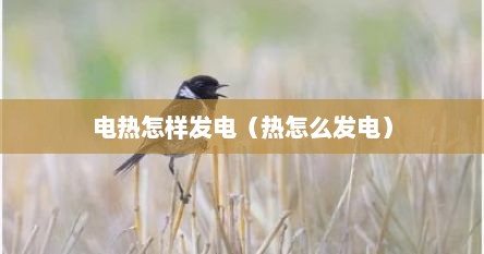 电热怎样发电（热怎么发电）