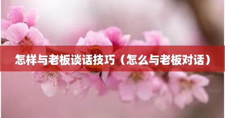 怎样与老板谈话技巧（怎么与老板对话）