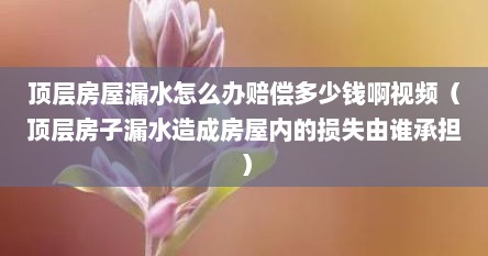 顶层房屋漏水怎么办赔偿多少钱啊视频（顶层房子漏水造成房屋内的损失由谁承担）