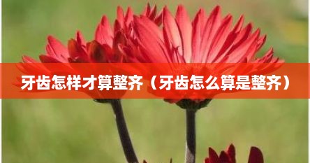 牙齿怎样才算整齐（牙齿怎么算是整齐）