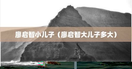 廖启智小儿子（廖启智大儿子多大）