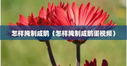 怎样腌制咸鹅（怎样腌制咸鹅蛋视频）