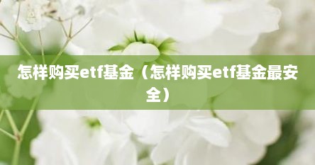 怎样购买etf基金（怎样购买etf基金最安全）